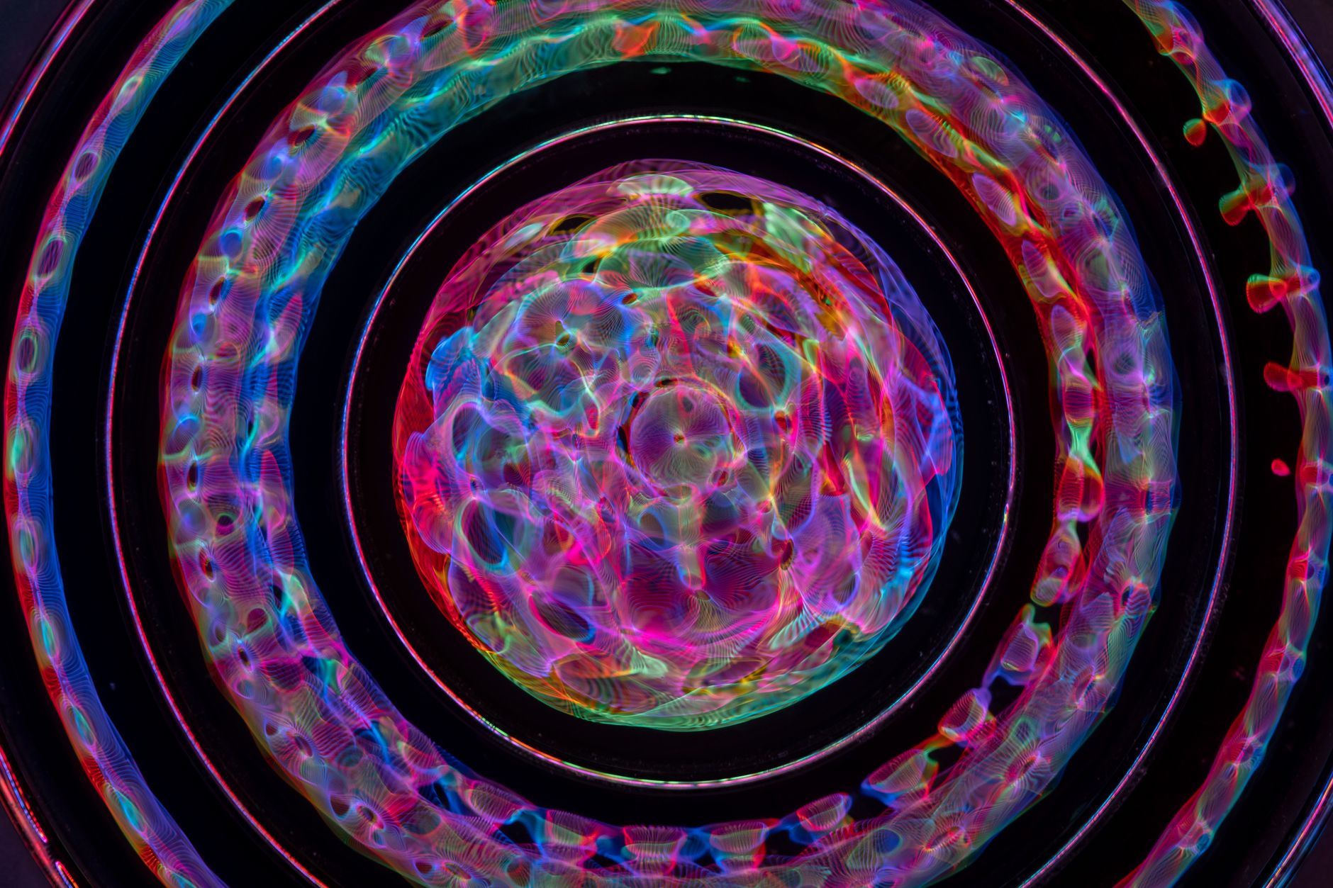 blurred colorful lights in a circle